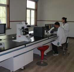 Metallographic test equipment