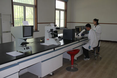 Metallographic test equipment